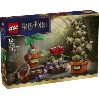 LEGO Harry Potter 76474 Hogvartso Žolininkystės augalai (817 dalių)