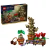 LEGO Harry Potter 76474 Hogvartso Žolininkystės augalai (817 dalių)