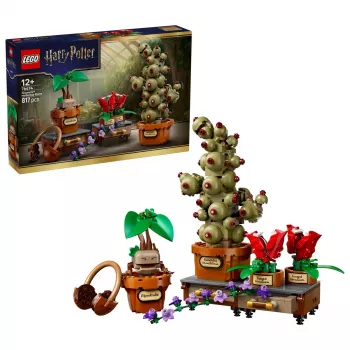 LEGO Harry Potter 76474 Hogvartso Žolininkystės augalai (817 dalių)