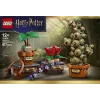 LEGO Harry Potter 76474 Hogvartso Žolininkystės augalai (817 dalių)