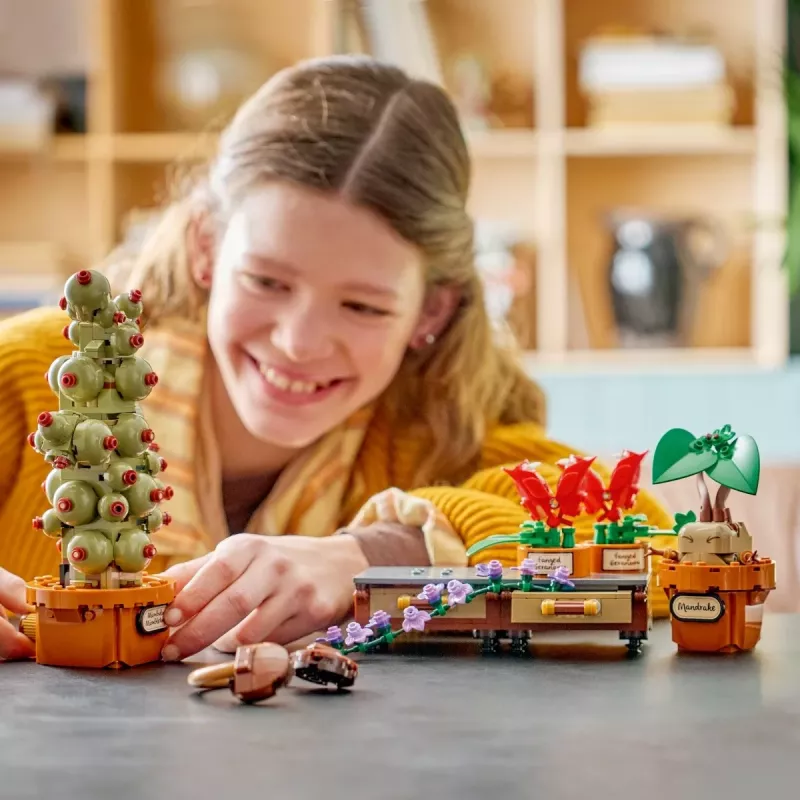 LEGO Harry Potter 76474 Hogvartso Žolininkystės augalai (817 dalių)