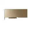 PNY NVIDIA RTX PRO 4500 Blackwell Server Edition - 32 GB GDDR7 ECC - PCIe 5.0 x16 - Pasyvus aušinimas - 4x DisplayPort 1.4a