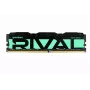 PC Atmintis DDR4 Rival Radiant 16GB (1x16GB) 3200MHz CL16 Žalia