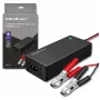 Qoltec 52665 Automatinis akumuliatoriaus įkroviklis AGM GEL STD baterijoms, 24V 2A 48W, LED indikatorius, 1,8m laidas