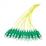 EFB Elektronik Fibre Pigtail SC-APC8° 9/125µm OS2 Geltona, 2 m