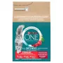 Purina ONE Sausas Kačių Ėdalas su Jautiena ir Kviečiais 2,8 kg