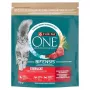 Purina ONE Sterilcat sausa katėms ėdalo jautiena ir kviečiai 750g