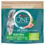 Purina ONE Indoor Formula katėms su kalakutiena 1,4 kg