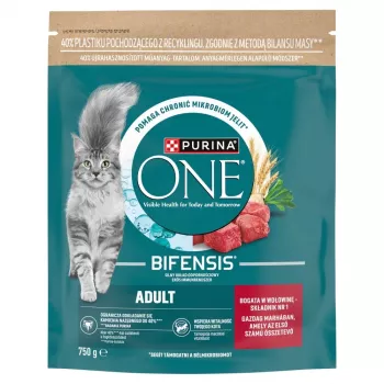 Purina ONE Adult Dry Cat Food with Beef and Whole Grains 750g