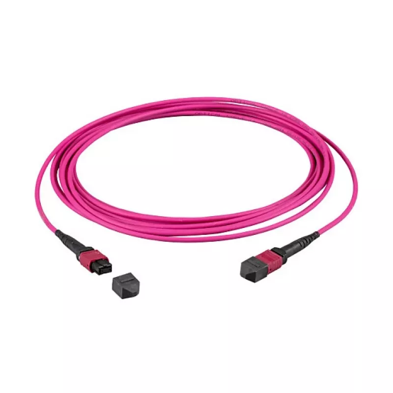 EFB-Elektronik MTP-F/MTP-F 12-Fiber OM4 Patch Cable, LSZH, Erika Violet, Type B, 15m