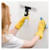 Langų valiklis MPM MDS-01 28cm 150ml juodas/žalias