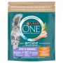 Purina ONE Coat & Hairball Chicken Whole Grains Dry Cat Food 750g