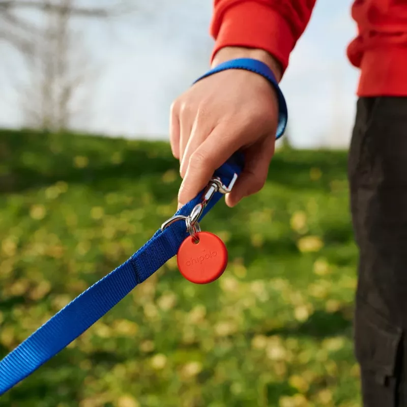 Chipolo POP Bluetooth Tracker su keičiama baterija, skirta iOS ir Android, mėlyna