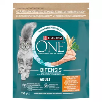 Purina One Mini Active šunų ėdalas su vištiena ir ryžiais 750g