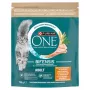 Purina One Mini Active šunų ėdalas su vištiena ir ryžiais 750g