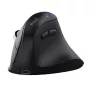 Trust Vyran Ergo Hyperscroll Wireless Mouse - dešinei rankai, optinis, 4800 DPI, RGB, įkraunamas