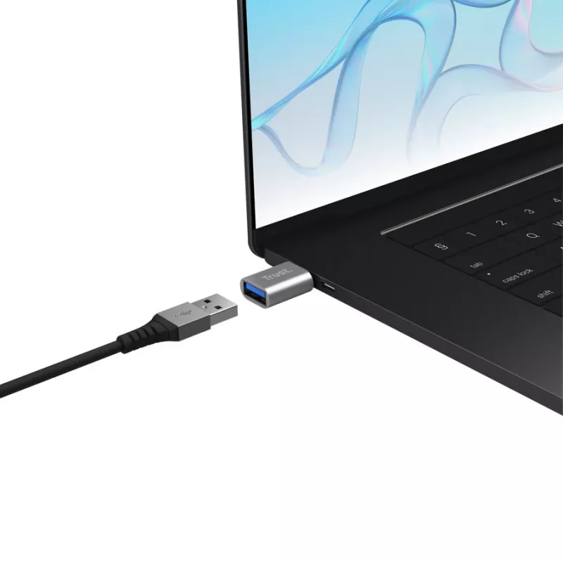 Trust Calyx USB-C į USB-A adapteris, 2 vnt.