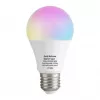 Shelly Multicolor Bulb E27 Gen3 RGBW LED Smart Bulb Dimmable with Power Monitoring Wi-Fi Bluetooth