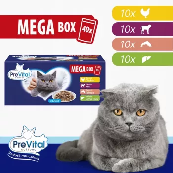 PREVITAL Mega Box Veal, Salmon, Liver, Chicken - šlapias ėdalas katėms 40x100g