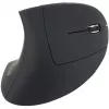 Equip 245110 Vertikali ergonominė belaidė pelė – dešinei rankai – 2,4 GHz – USB imtuvas – juoda