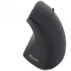 Equip 245110 Vertikali ergonominė belaidė pelė – dešinei rankai – 2,4 GHz – USB imtuvas – juoda