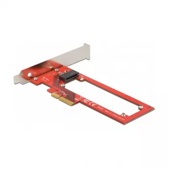Delock PCI Express x4 kortelė su 1 x EDSFF E1.S lizdu – Low Profile