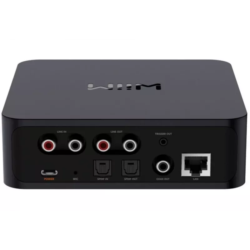 WiiM Pro tinklinis grotuvas - AirPlay 2, Chromecast, Multiroom Streamer
