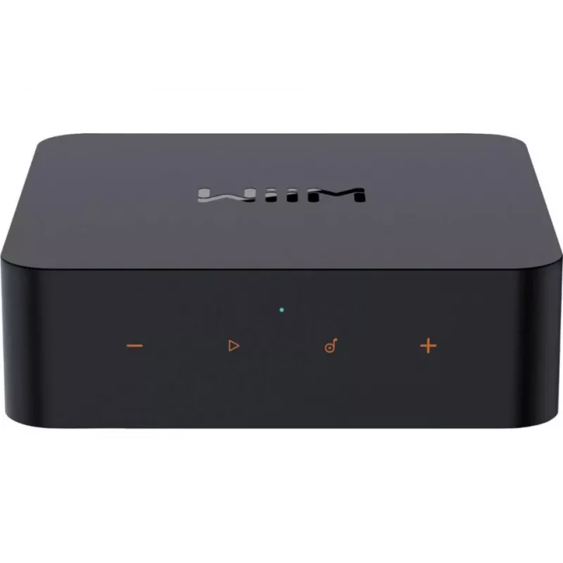 WiiM Pro tinklinis grotuvas - AirPlay 2, Chromecast, Multiroom Streamer