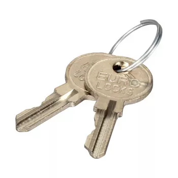EFB Elektronik Raktas stovo užraktui (Key for Rack Security Lock)