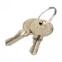 EFB Elektronik Raktas stovo užraktui (Key for Rack Security Lock)