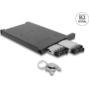 Delock Adapter Frame for 2 x M.2 NVMe SSD with SFF-8654 Connector for 12.7 mm Slim ODD Bay (47138)
