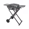 TEESA BBQ 1000 1-Burner Gas Barbecue, Portable, Black