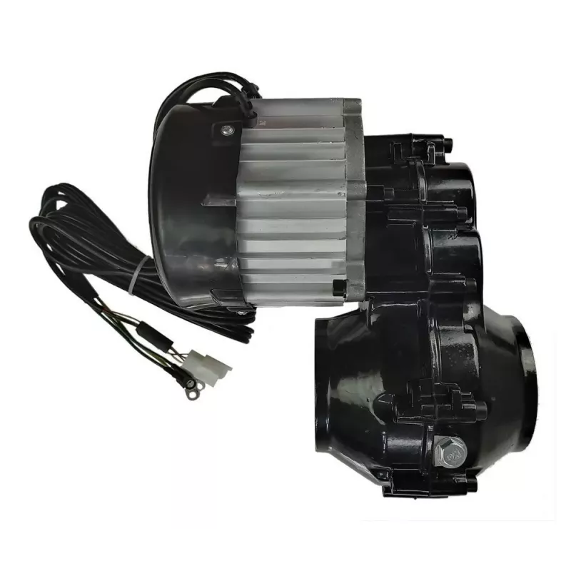 LEAN CARS variklis, skirtas Perfecta YSA021, 24V 180W