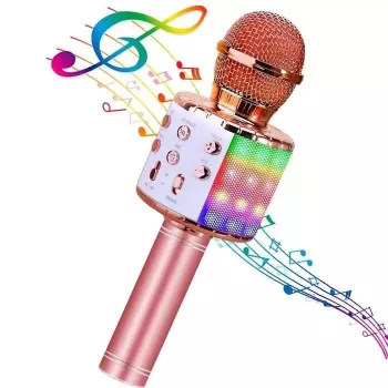 HQ Royal Song WS-858 Karaoke Mikrofonas su Garsiakalbiu ir Įrašymu per Micro SD USB