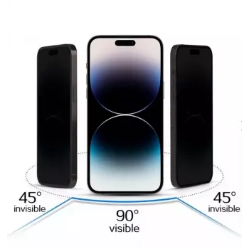 iLike Apple iPhone 15 Pro Max Tempered Privacy Glass Screen Protector Black