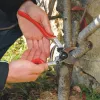 Felco 13 Classic Vienarankės Genėjimo Žirklės – Bypass, 30 mm Pjovimo Talpa, Kalti Aliuminio Rankenos