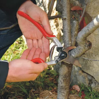 Felco 13 Classic Vienarankės Genėjimo Žirklės – Bypass, 30 mm Pjovimo Talpa, Kalti Aliuminio Rankenos