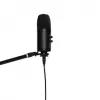 SGG Stagg SUSM60D USB kondensatorinis mikrofonas