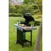 Barbecook dujinė kepsninė Spring 3112 su spintele, 115 x 55 x 133 cm
