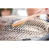 Barbecook varinis ir plieninis šepetys FSC, 31 cm | BC-ACC-7074