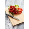 Barbecook Bamboo pjaustymo lentelė FSC 30x20x1,5 cm, 6 vnt. pakuotė
