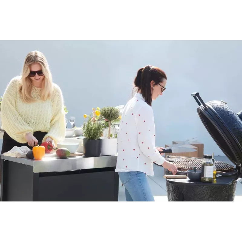 Barbecook Premium Buddy for Gas Barbecue BC-GAS-2070