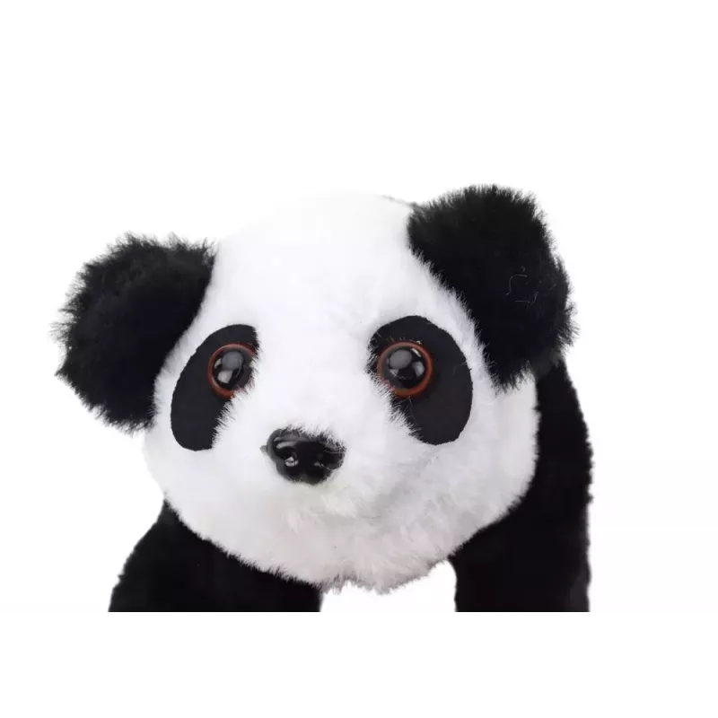 Interaktyvus pliušinis panda su rožiniu-mėlynu transporteriu LEAN TOYS 17613
