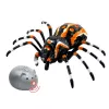 LEAN TOYS nuotolinio valdymo voras tarantulas infraraudonasis juodas R/C ST
