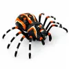 LEAN TOYS nuotolinio valdymo voras tarantulas infraraudonasis juodas R/C ST