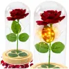 LEAN Eternal Rose In Glass Dome LED Lighting Red 21x11cm