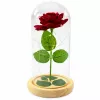 LEAN Eternal Rose In Glass Dome LED Lighting Red 21x11cm