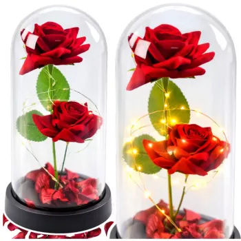 LEAN Eternal 2 Roses in Dome with LED Lighting and Rose Petals Red 21x11cm