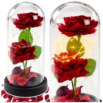 LEAN Eternal 2 Roses in Dome su LED apšvietimu ir rožių žiedlapiais, raudona, 21x11 cm