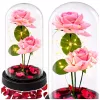 LEAN Eternal Roses in Dome with LED Lighting and Rose Petals Pink 21x11cm